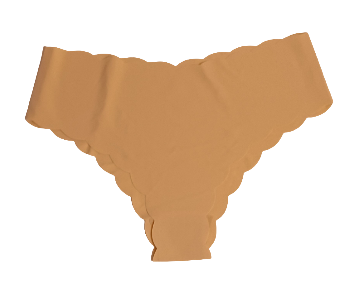 4pk Seamless Breathable Stretchy Panty (no camel)