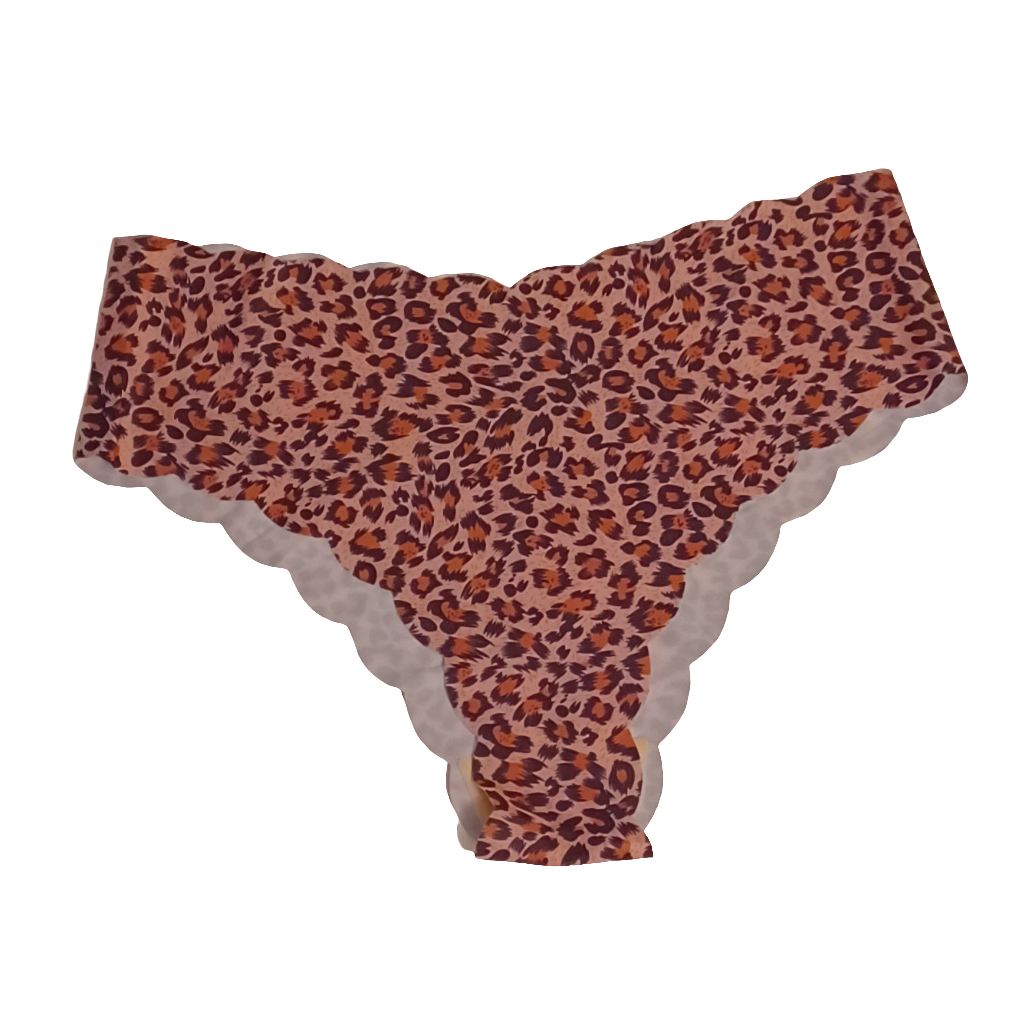 4pk Women's Seamless Leopard Print Panties (no camel)