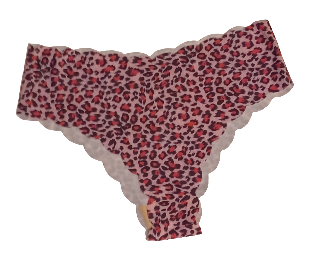 4pk Women's Seamless Leopard Print Panties (no camel)